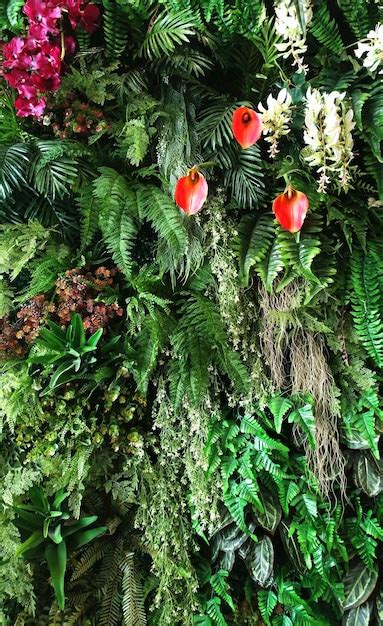 Premium Photo Tropical Green Leaf