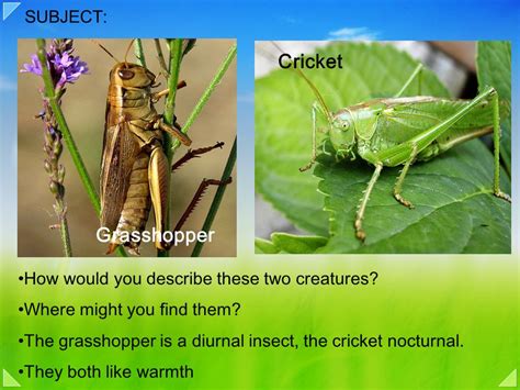 😀 On The Grasshopper And The Cricket On The Grasshopper And The