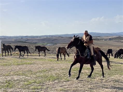 Transumanza Due Giorni In Maremma A Tu Per Tu Con La Storica Pratica