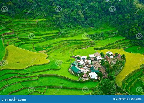 Aerial View Of Rice Terraces Bangaan Village Philippines Stock Photo