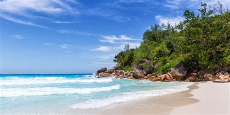 Premium Photo Seychelles Anse Georgette Beach On Praslin Island Palm