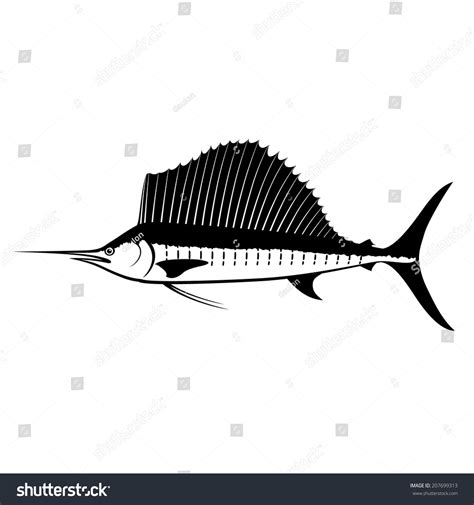 Sailfish Silhouette Isolated On White Stock Vector Royalty Free