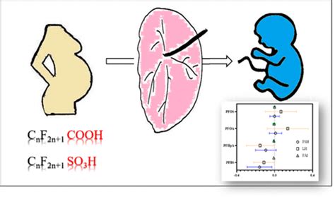 Association Between Prenatal Exposure To Pfas And Fetal Sex Hormones Are The Short Chain Pfas