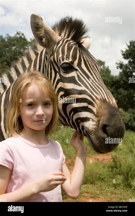 Young Girl Standing With Zebra Equus Quagga Gauteng Province South