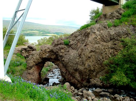 Hallormsstaðaskógur Forest - Iceland's largest forest