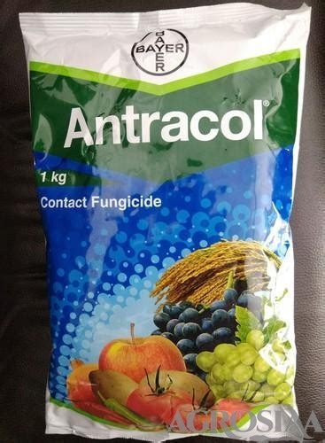 Bayer Antracol Fungicide 1 Kg Propineb 70 Wp