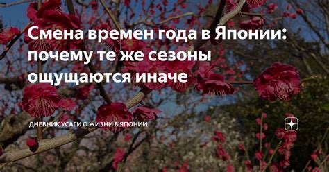 Смена времен года в Японии: почему те же сезоны ощущаются иначе ...