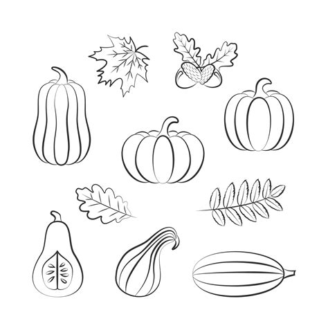 Outline Hand Drawing of Harvest Pumpkins and Leaves 3229872 Vector Art ...