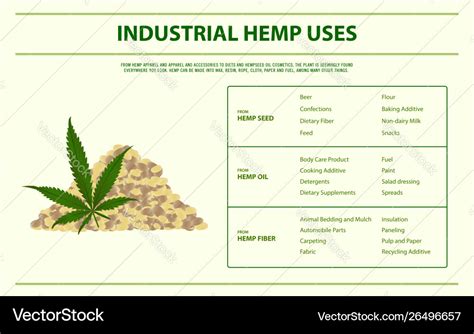 Industrial Hemp Uses Horizontal Infographic Vector Image