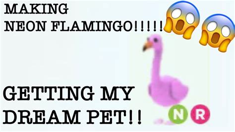 MAKING NEON FLAMINGO IN ADOPT ME GETTING MY DREAM PET YouTube