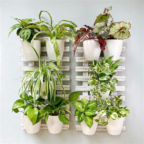 Amazon Shoplala Wooden Wall Planter Pack Wall Hanging Planters