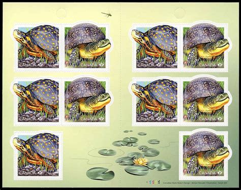 Buy Canada 3179c Endangered Turtles 2019 10 X P 90¢ Booklet