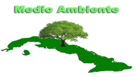 Cuba Trabaja Con Efectividad En El Cuidado Del Medio Ambiente