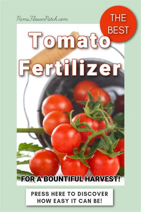 Best Fertilizer For Tomatoes Flower Patch Farmhouse