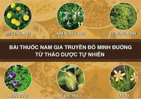 11 Cách Chữa Viêm Họng Hạt Nhanh Khỏi Nhất Tại Nhà