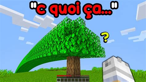 Jai Rendu Son Minecraft Plus Wtf Jusqu Ce Quil Remarque