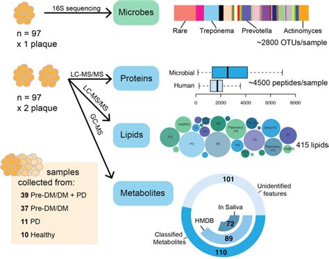 Proteomics Lipidomics Metabolomics And 16s Dna Sequencing Of Dental Plaque From Patients With