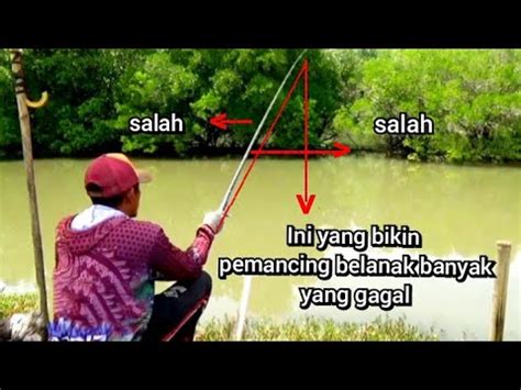 OK Perhatikan Hentakan Joran Tegekmu Jangan Salah Arah Biar Tepat