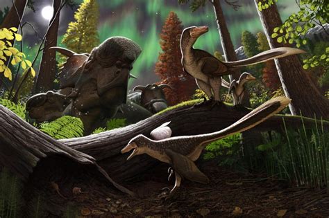 Baby dinosaur fossils found in Alaska sheds new light on ancient creatures