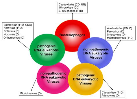 Ijms Free Full Text Emerging Roles Of Gut Virome In Pediatric Diseases