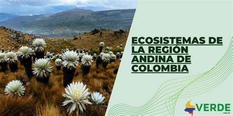 Ecosistemas De La Región Andina De Colombia Colombia Verde