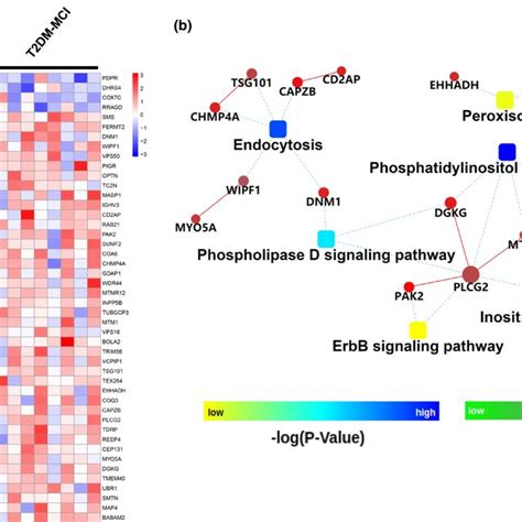 Differentially Expressed Proteins Deps And Proteinprotein