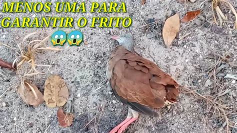 A Ada De Lambu P Vermelho Nanb Mestre B Youtube