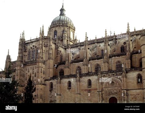 Fachada Lateral De La Catedral Nueva De Salamanca Cupula Realizada