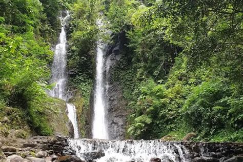 Curug 7 Cilember Pesona Air Terjun Dengan Panorama Hutan Pinus Di