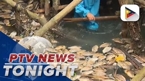 Fisherfolk In Cavite City Affected By Fishkill Video Dailymotion