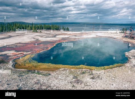 Hot Thermal Spring Abyss Pool In Yellowstone National Park West Thumb