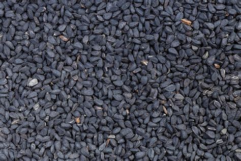 background - many Nigella sativa seeds 11442189 Stock Photo at Vecteezy