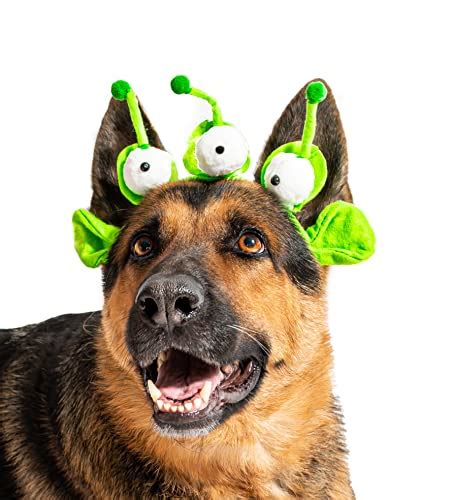 Top 5 Best Alien Costumes for Dogs: Make Your Dog Out of This World!