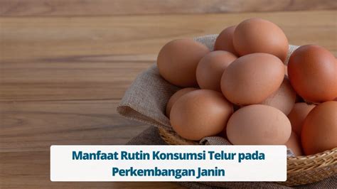 Manfaat Konsumsi Telur Untuk Perkembangan Janin Primaya Hospital