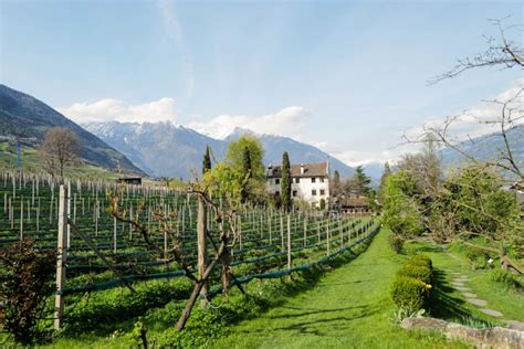 Meran Geheimtipp Kränzelhof Wein Kunst und Natur