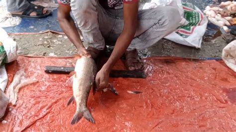 Amazing Rohu Fish Cutting In Local Bangladeshi Fish Market Fist