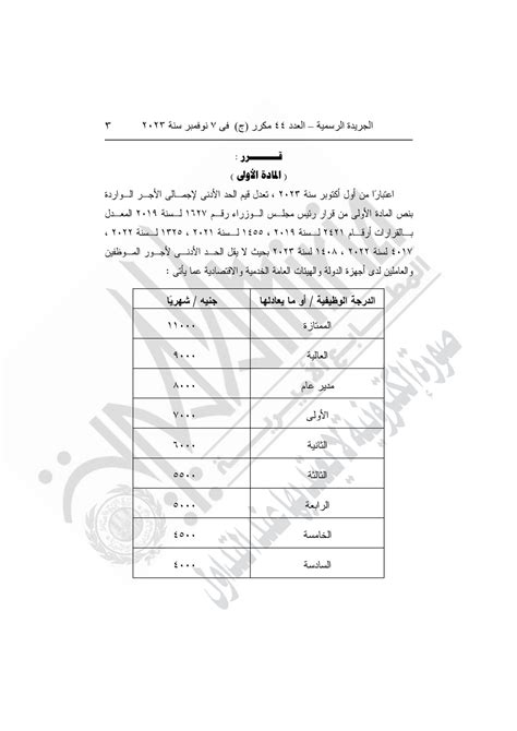 الجريدة الرسمية تنشر قرار تطبيق الزيادة الجديدة في الحد الأدني للأجور