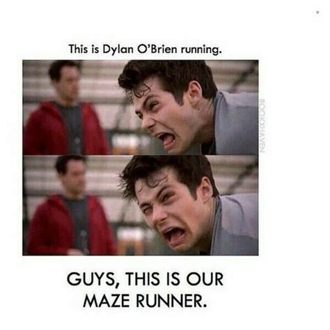 Maze Runner Memes Artofit