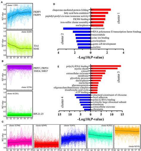 Frontiers Dynamic Transcriptional Landscape Of The Early Chick Embryo