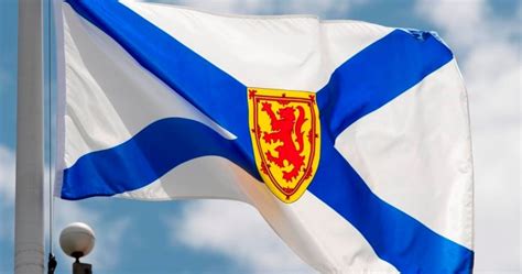 Cape Breton Regional Municipality 2020 municipal election profile - Halifax | Globalnews.ca