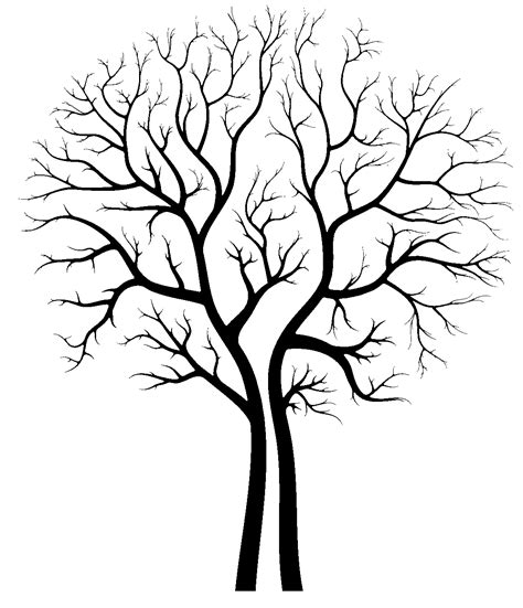 Aspen Tree Clip Art - ClipArt Best