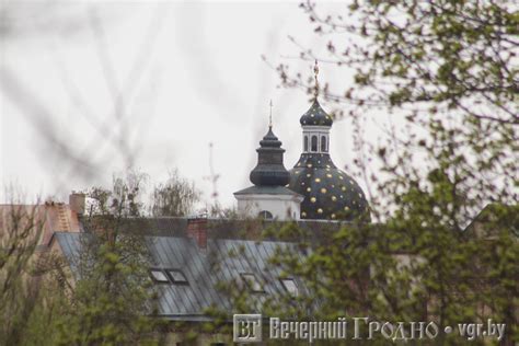 Будет очень тепло — погода в Гродно на неделю — Вечерний Гродно