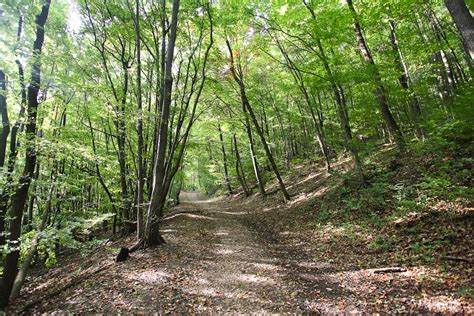 Wien Stadtwanderweg 2 Hermannskogel Von Sievering auf den höchsten