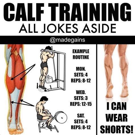 8 Mistakes That Are Keeping Your Calves Small Calf