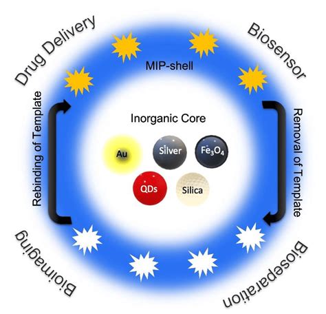 Illustration Of Various Types Of Inorganic Nanoparticles Combined With