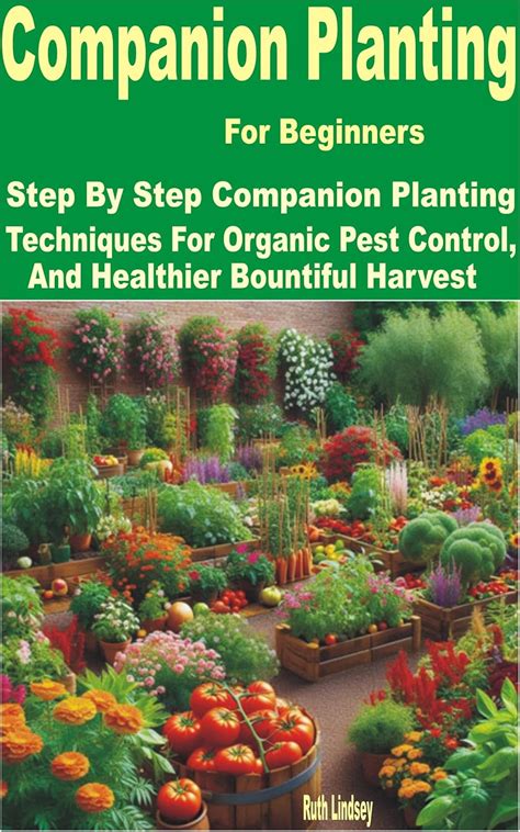 Companion Planting For Beginners Step By Step Companion Planting