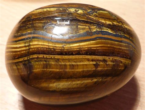 File:Tigers eye egg shape.jpg - Wikipedia