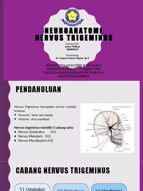 Neuroanatomi Nervus Trigeminus Andre William 2065050155 Pdf