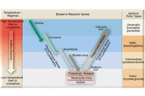 40 bowen's reaction series diagram - Diagram For You