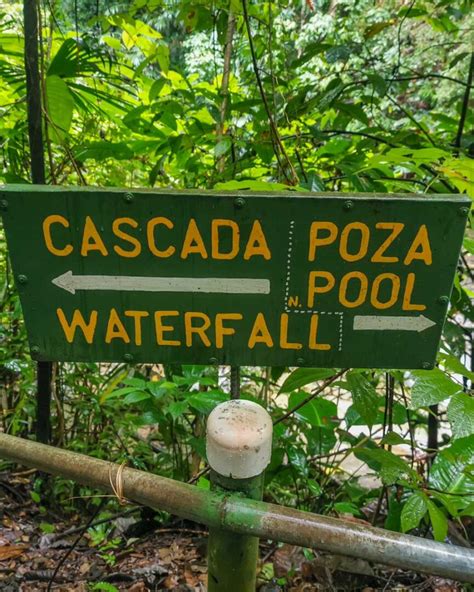 15 Things to Know Before Visiting Uvita Waterfall - Costa Rica Travel Life